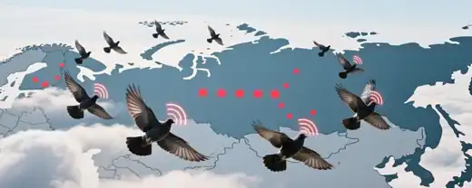 Безопасность превыше всего: Многочисленные аэропорты страны временно приостановили работу