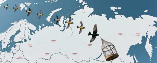 Безопасность превыше всего: ограничения полетов в аэропортах Центральной России