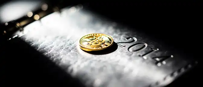 Золотая жила для бюджета: станет ли продажа доли в НСПК триумфом ЦБ?