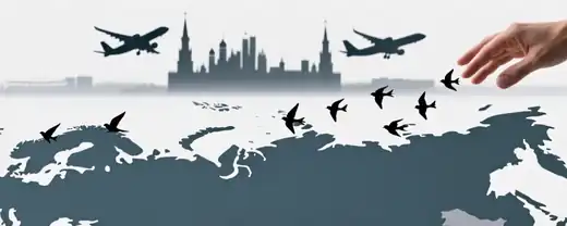 ЗАГОЛОВOK: Временные Ограничения Движения над Москвой: Согласованный Режим Полетов во Внуково и Шереметьево